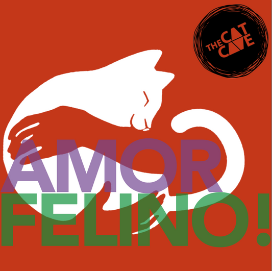 Amor Felino