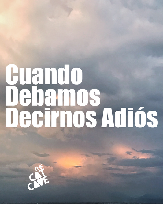 Cuando Debamos Decirnos Adiós