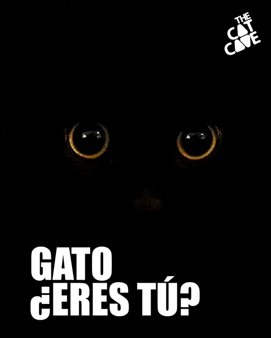 Gato, ¿eres tú?