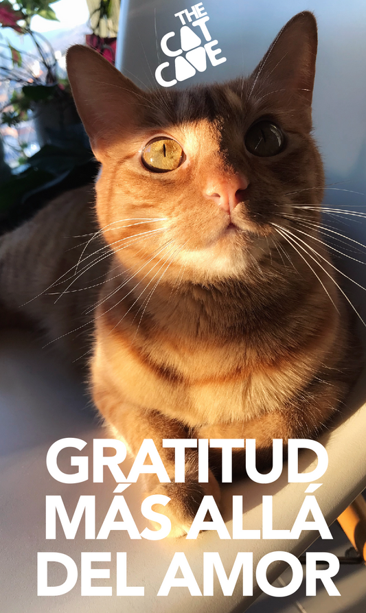 Gratitud más allá del Amor