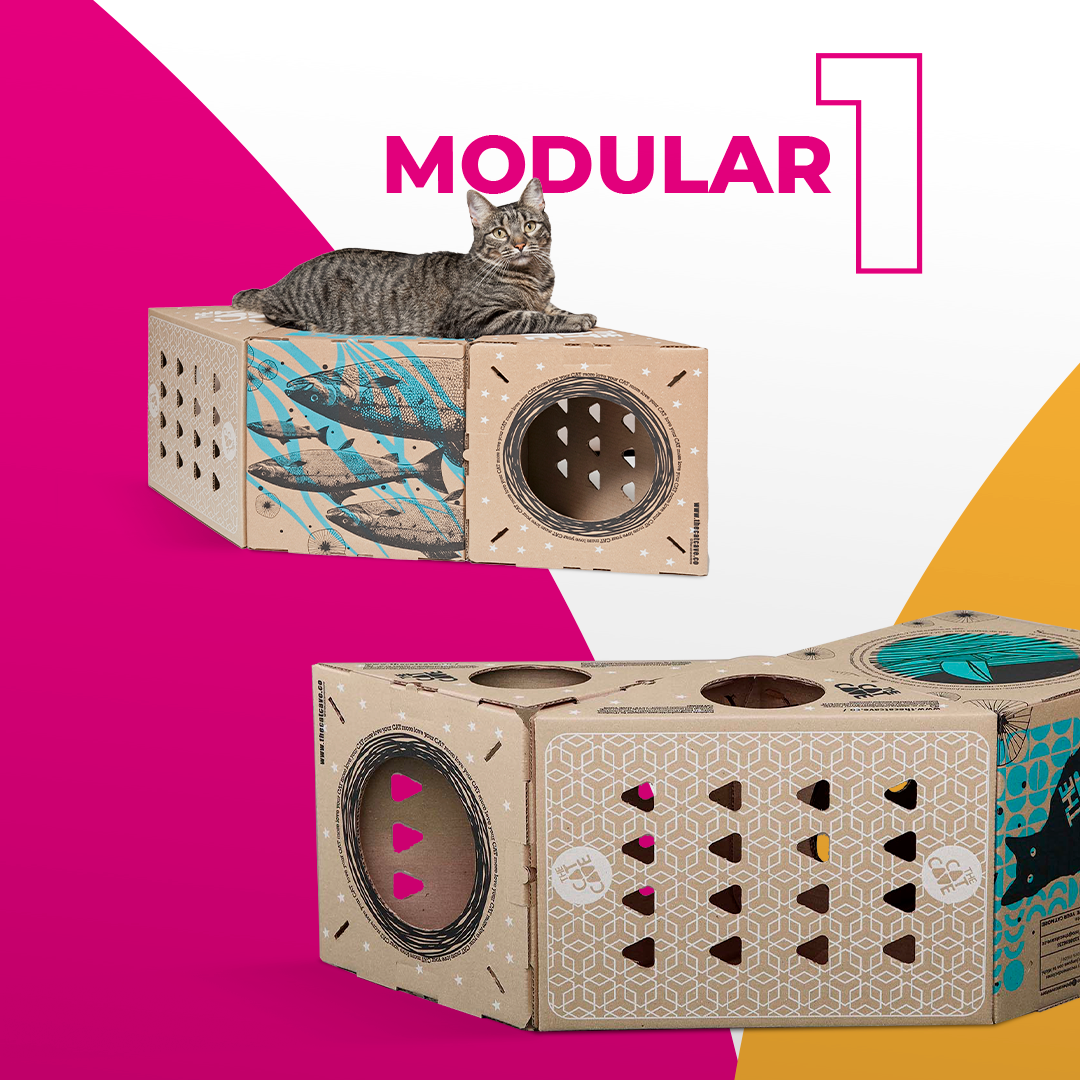 MODULAR 1