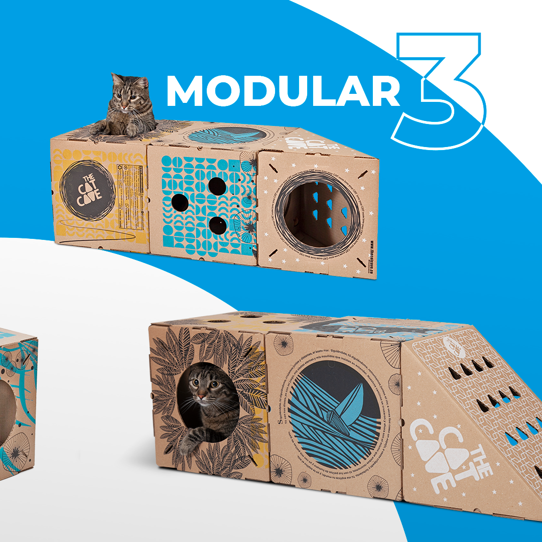 MODULAR 3