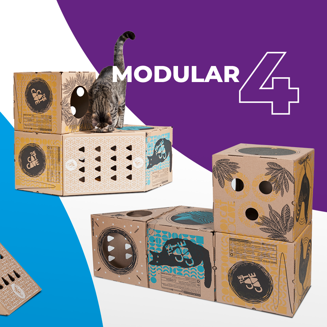MODULAR 4