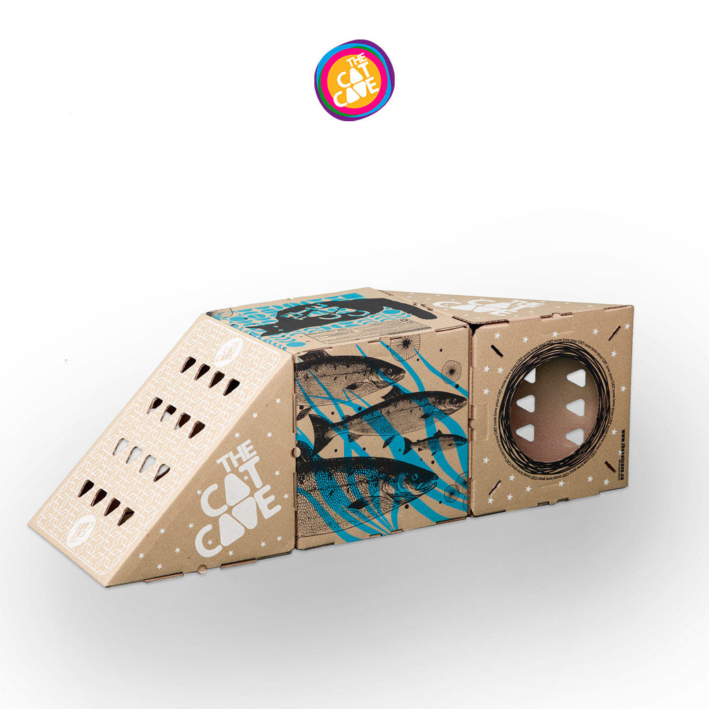 MODULAR 1