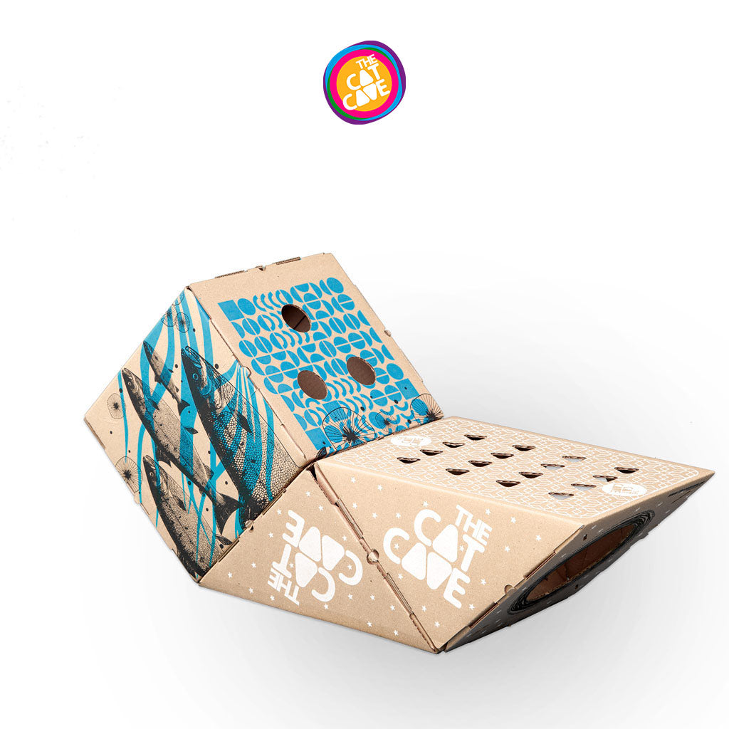 MODULAR 1