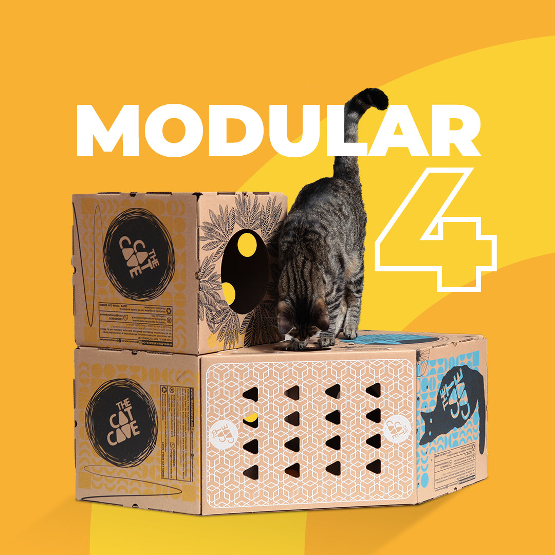 Cajitas Modulares para gatitos. Modular 4 The Cat Cave.