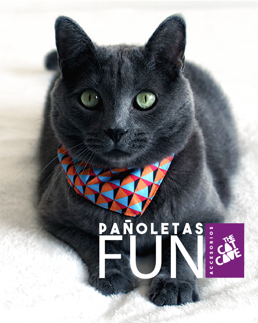 3 PAÑOLETAS FUN OFERTA - Artist, Night y Selva.