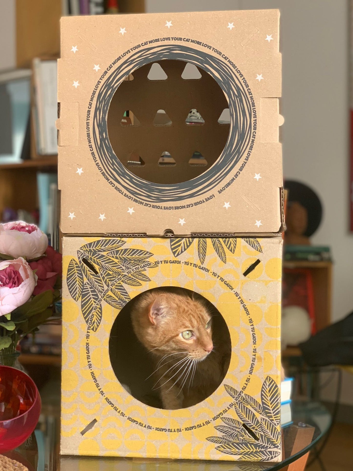 Cajas de cartón marca The Cat Cave para tu gato. El Modular Mini trae dos módulos: uno amarillo y uno triangular. Disfrútalo con tu Michi. Compra felicidad, compra The Cat Cave..