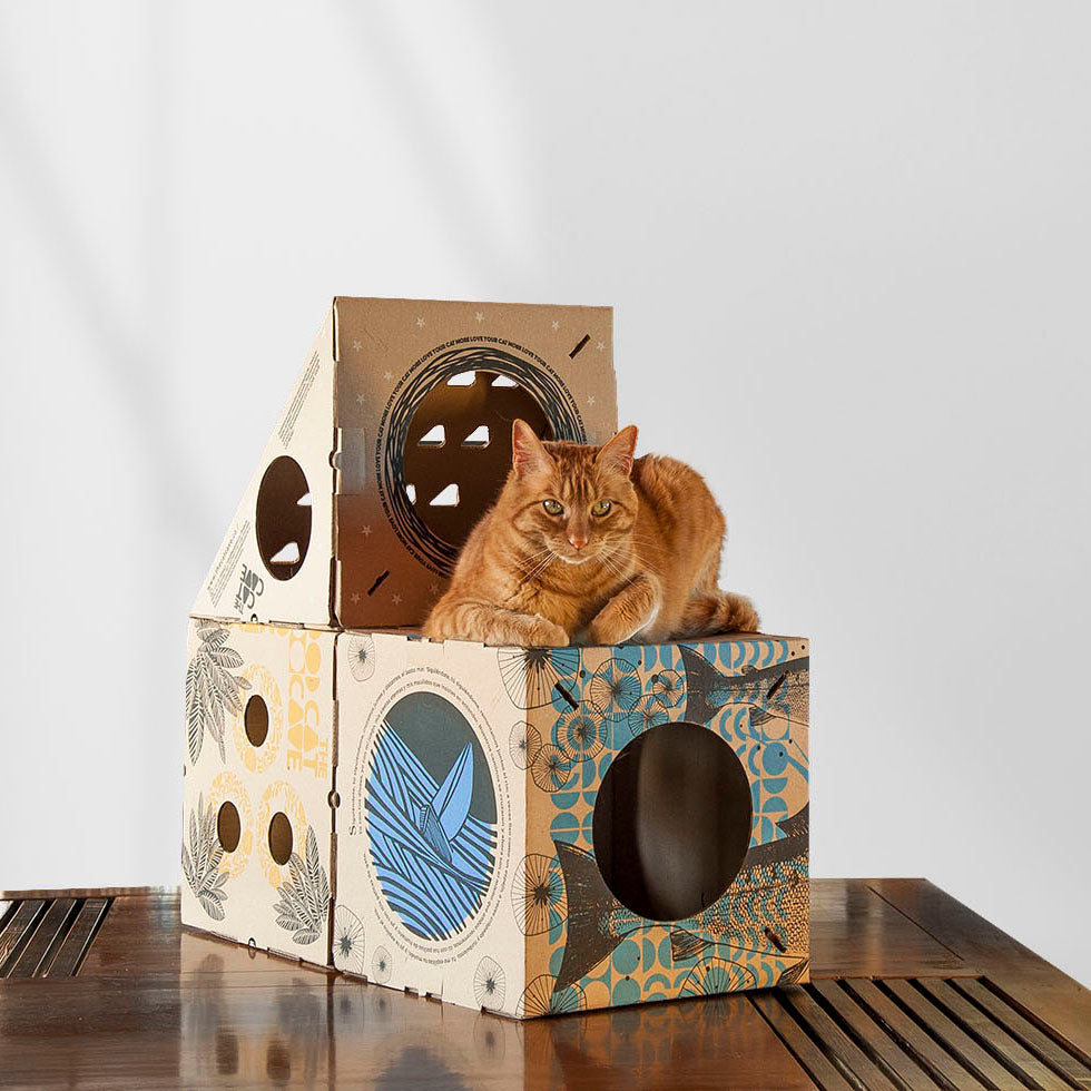 MODULAR 3 - Últimas unidades