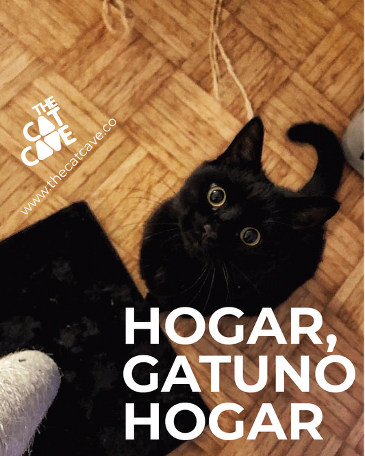 Hogar, Gatuno Hogar