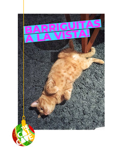 ¡Barriguitas a la vista!