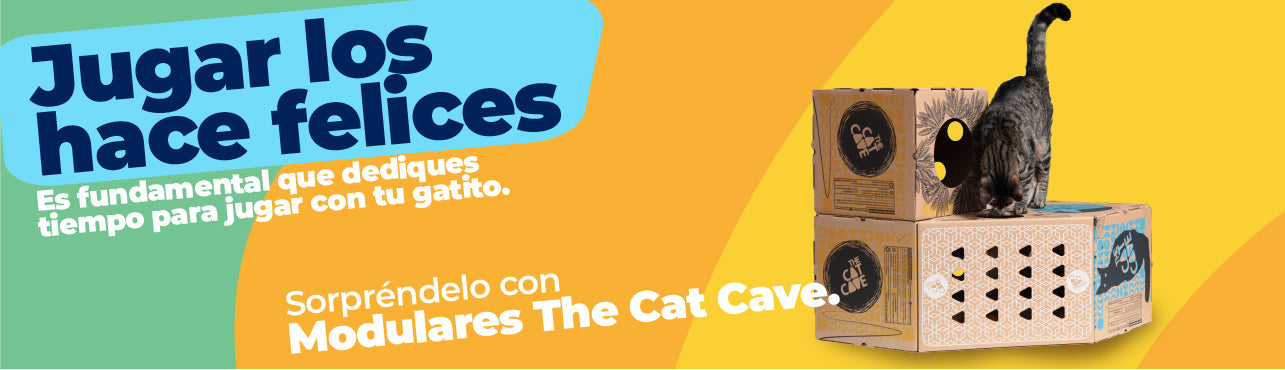 Cargar video: Haz que la vida de tu gato sea más emocionante y divertida con nuestras cajas modulares.