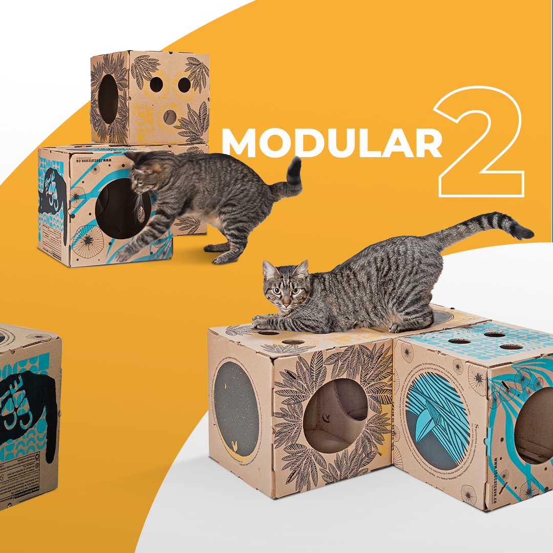 MODULAR 2