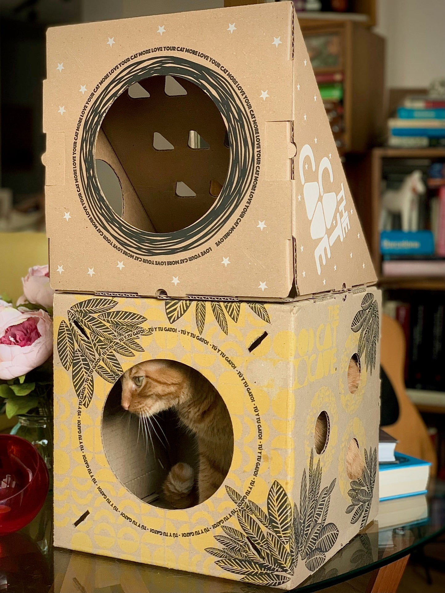 Cajas de cartón marca The Cat Cave para tu gato. El Modular Mini trae dos módulos: uno amarillo y uno triangular. Disfrútalo con tu Michi. Compra felicidad, compra The Cat Cave..