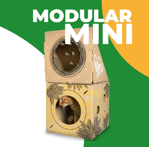 Cajas de cartón marca The Cat Cave para tu gato. El Modular Mini trae dos módulos: uno amarillo y uno triangular. Disfrútalo con tu Michi. Compra felicidad, compra The Cat Cave..